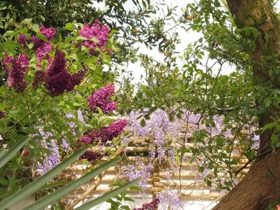 Jardin de l'établissement Ty Lireu