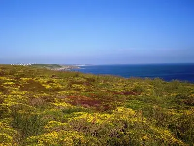 Paysage naturel près de la maison de vacances