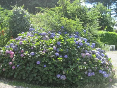 Jardin de l'établissement Le Relais de Porz Morvan