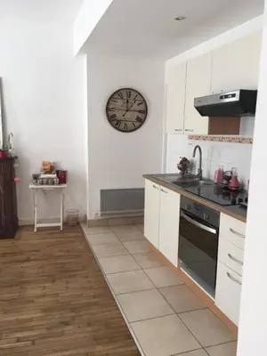 Cuisine ou kitchenette dans l'établissement Appartement Cœur Saint-Martin