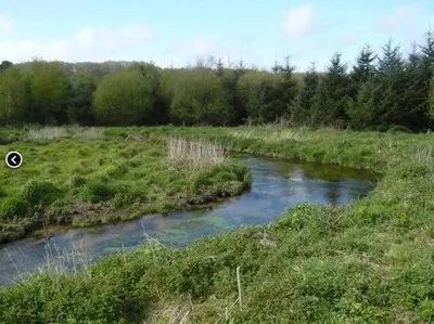 Paysage naturel près de la maison de vacances
