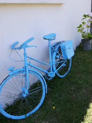 Vélo sur le terrain de l'établissement La ferme de Lec'h Hameury ou dans les environs