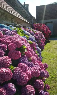 Jardin de l'établissement La ferme de Lec'h Hameury