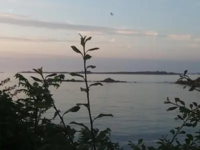 Paysage naturel près de la maison de vacances