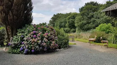 Jardin de l'établissement Bungalow de Kermoal