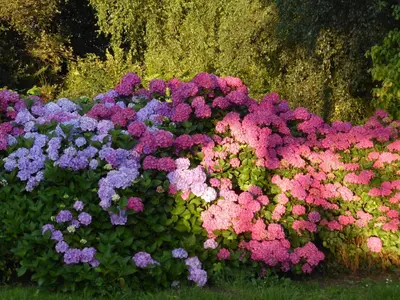 Jardin de l'établissement ty dreux entre terre et mer