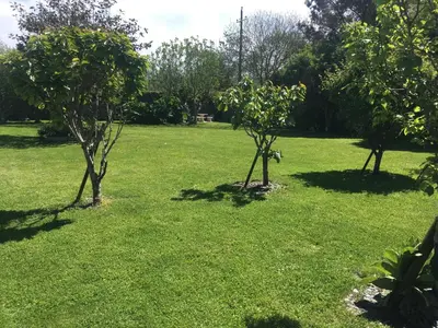 Jardin de l'établissement Gîtes Le Bout du Monde
