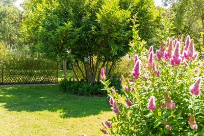 Jardin de l'établissement Camping de la Baie de Térénez