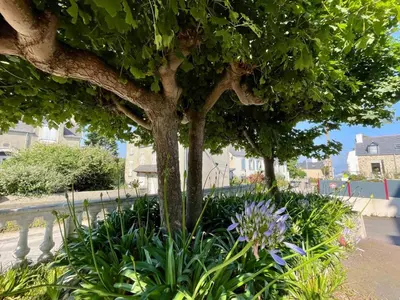 Jardin de l'établissement Résidence Des Bains