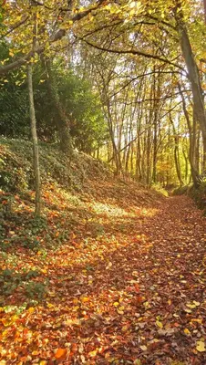 Paysage naturel près de le séjour chez l'habitant