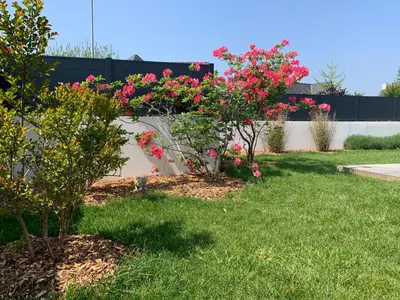 Jardin de l'établissement Ker Nany