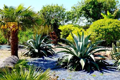 Jardin de l'établissement Chambres d'Hôtes Le Nid d'Iroise