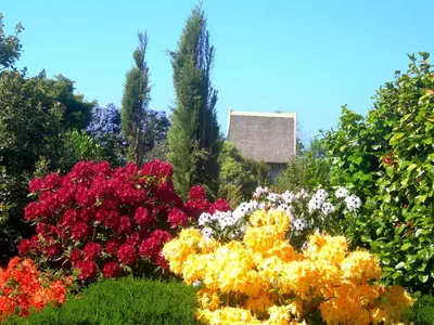 Jardin de l'établissement Chambres d'Hôtes Le Nid d'Iroise