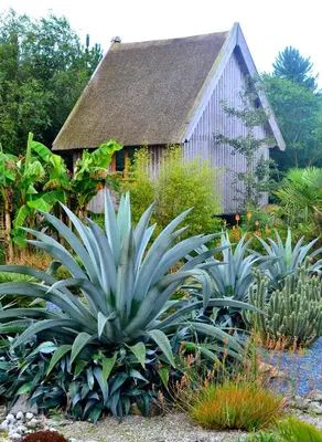 Jardin de l'établissement Chambres d'Hôtes Le Nid d'Iroise
