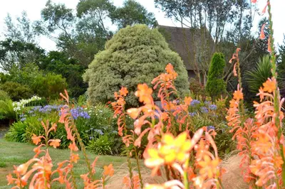 Jardin de l'établissement Chambres d'Hôtes Le Nid d'Iroise
