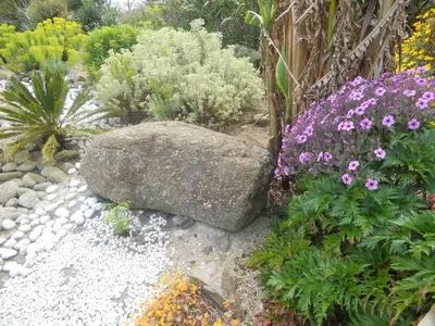Jardin de l'établissement Chambres d'Hôtes Le Nid d'Iroise