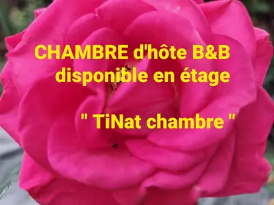 Plan de l'établissement Tinat Studio