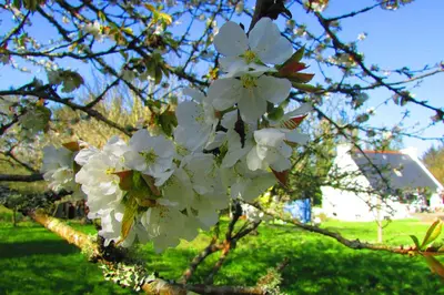 Jardin de l'établissement la vallee