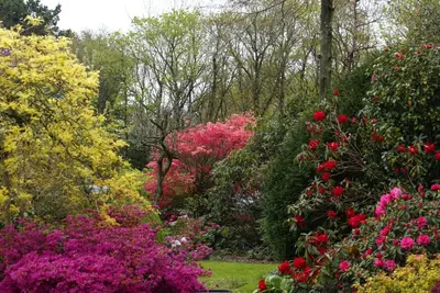 Jardin de l'établissement La Canopée des Pins