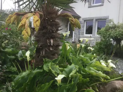 Jardin de l'établissement Les Chambres de Kermenguy