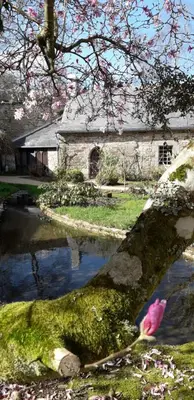 Paysage naturel près de l'hôtel
