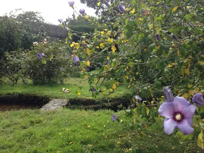 Jardin de l'établissement Manoir du Moustoir - Hôtel Les Empreintes
