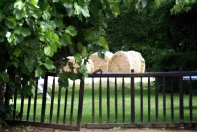 Jardin de l'établissement Les Pieds dans l'Herbe