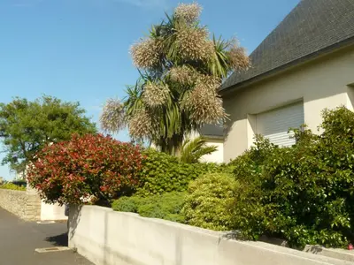 Jardin de l'établissement La baie