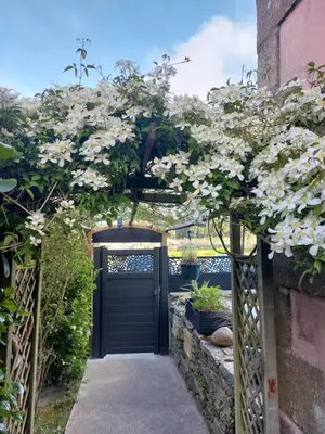 Jardin de l'établissement Chambres d'Hôtes vue mer entre Plestin les Grèves et locquirec