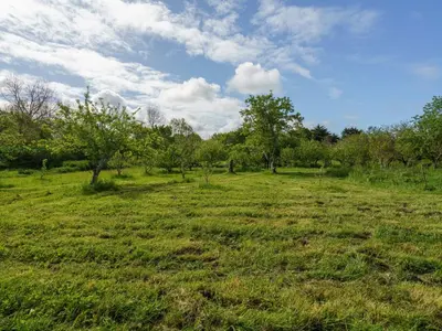 Jardin de l'établissement Holiday Home Pen Ilis by Interhome