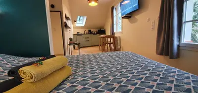 Un ou plusieurs lits dans un hébergement de l'établissement Appartement Studio Prieuré