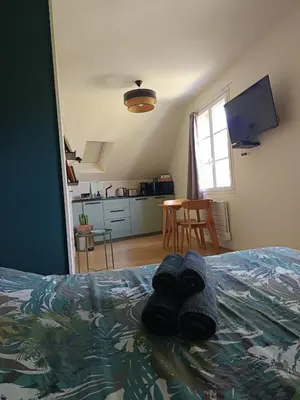 Télévision ou salle de divertissement dans l'établissement Appartement Studio Prieuré