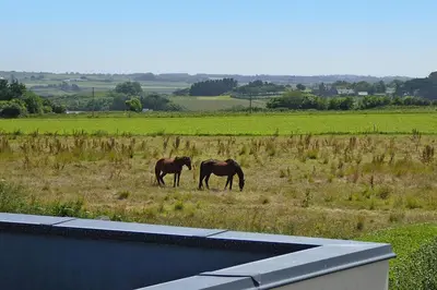 Animaux dans la maison de vacances ou à proximité