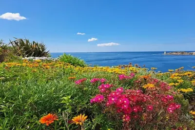 Paysage naturel près de la maison de vacances