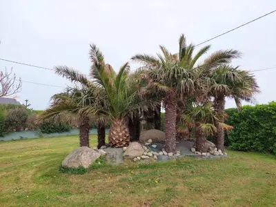 Jardin de l'établissement Stone House in Cleder near Sandy Beach