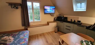 Cuisine ou kitchenette dans l'établissement Appartement Studio Chanoine