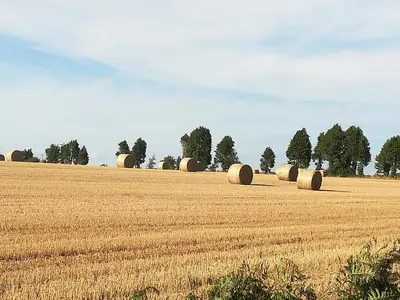 Paysage naturel près de la maison de vacances