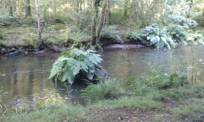 Paysage naturel près de la maison de vacances