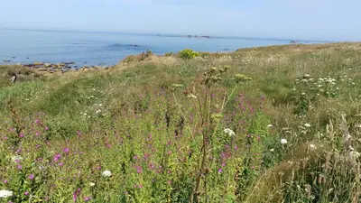 Paysage naturel près de la maison de vacances