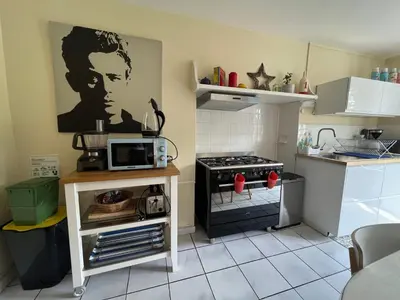Cuisine ou kitchenette dans l'établissement Maisons Les Gites de l'Odet