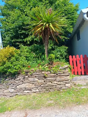 Jardin de l'établissement Gite de kernaet avec piscine