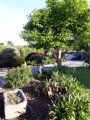 Jardin de l'établissement Chambre dans villa