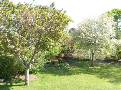 Jardin de l'établissement Villa à la croisée des baies