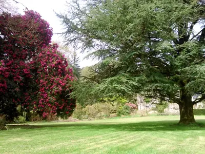 Jardin de l'établissement Maison de charme Finistere 4 personnes