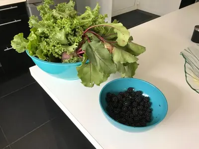 Nourriture dans la maison de vacances ou à proximité