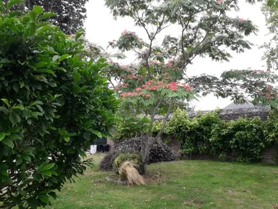 Jardin de l'établissement Gîte, Le Jardind'Eneour, spots de surf, plages et randonnées !