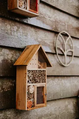 Plan de l'établissement Gîtes du Bulz, en pleine forêt proche de la mer
