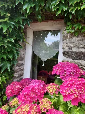 Jardin de l'établissement Ty Coz