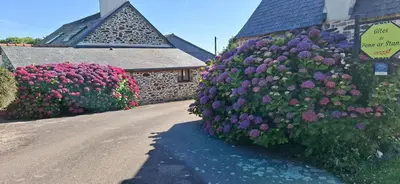 Jardin de l'établissement Ty Coz