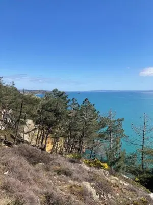 Paysage naturel près de l'appartement